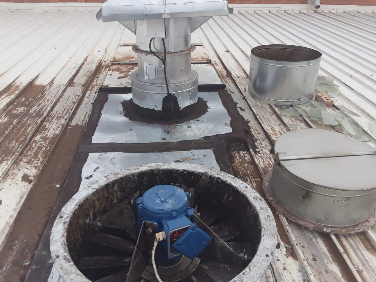 WhatsApp-Image-2021-01-05-at-3.35.23-PM-1