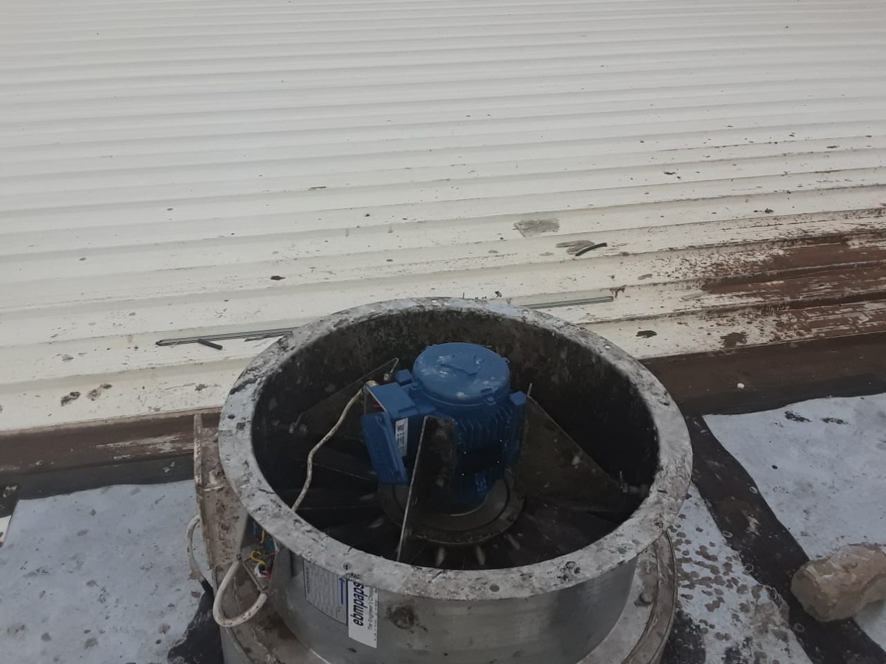 WhatsApp-Image-2021-01-05-at-3.35.23-PM