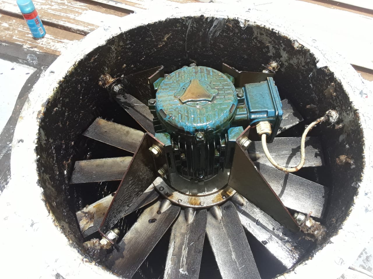 WhatsApp-Image-2021-01-05-at-3.35.25-PM-1