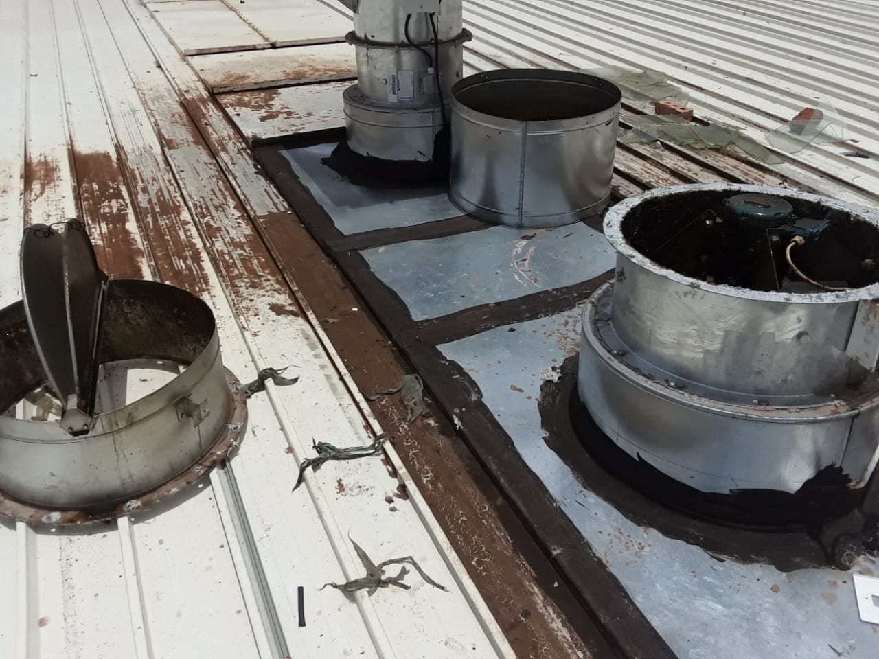 WhatsApp-Image-2021-01-05-at-3.35.26-PM-1